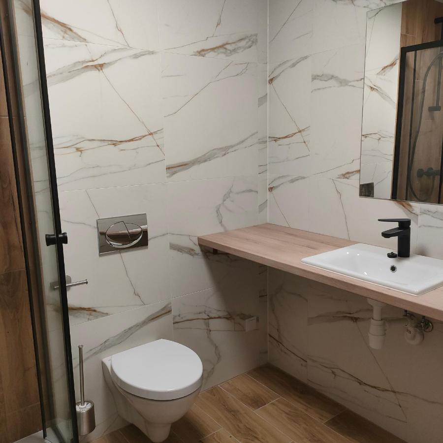 Sympozjum Loft Apartman Krakkó Kültér fotó